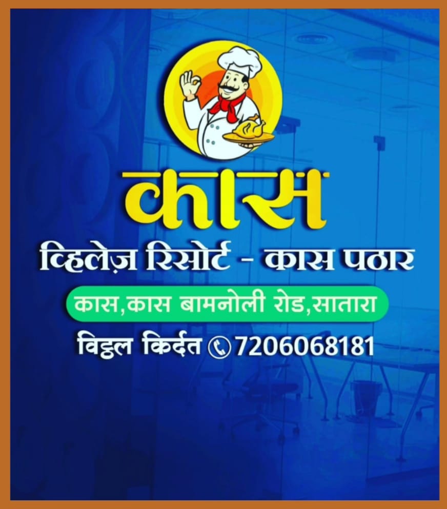 Kaas Pathar and sightseeing 17